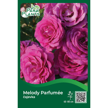 Čajevka Melodi Parfum Čajevka Melodi Parfum