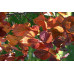 Cercis canadensis Forest Pansy - Judino drvo Forest Pansy