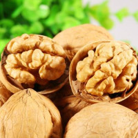 Orah Čendler Orah Čendler