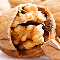 Orah Rasna Orah Rasna