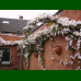 Clematis montana Rubens - Klematis montana Rubens