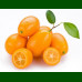 Citrus Fortunella Margarita - Kumkvat