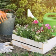 box-flowers-green-garden-1